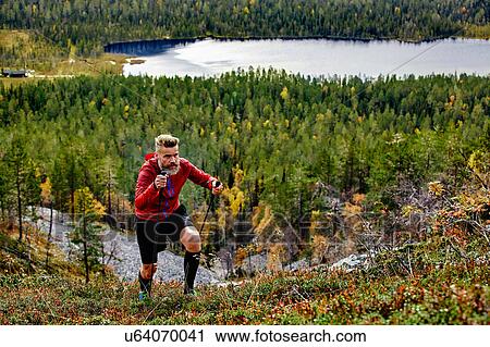 Stock Image - Hiker ascending steep hill, Kesankitunturi, Lapland, Finland. Fotosearch