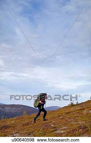 Stock Photo - Hiker crossing field, Keimiotunturi, Lapland, Finland. Fotosearch