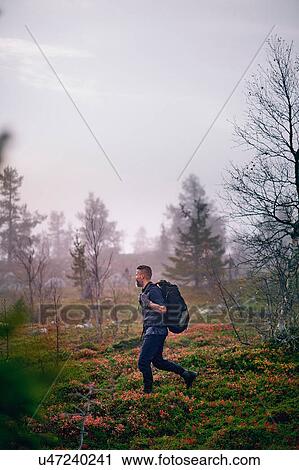 Stock Image - Hiker crossing park, Sarkitunturi, Lapland, Finland. Fotosearch