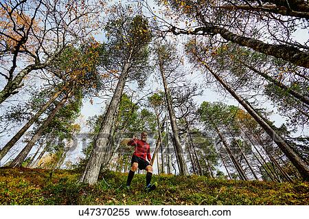 Stock Photography - Hiker descending steep hill, Kesankitunturi, Lapland, Finland. Fotosearch