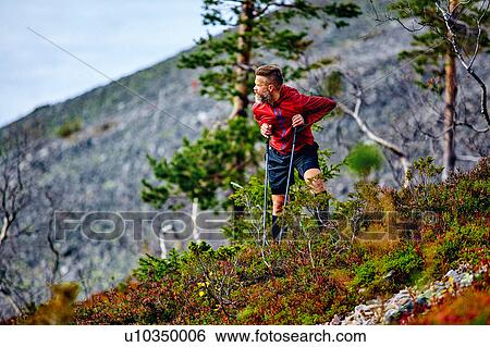 Stock Photograph - Hiker looking back on steep hill, Kesankitunturi, Lapland, Finland. Fotosearch