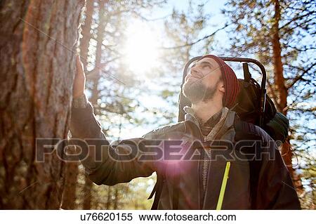 Hiker looking up tree, Keimiotunturi, Lapland, Finland View Large Photo Image Stock Photography - Hiker looking up tree, Keimiotunturi, Lapland, Finland. Fotosearch