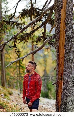 Stock Image - Hiker resting by tree in forest, Kesankitunturi, Lapland, Finland. Fotosearch