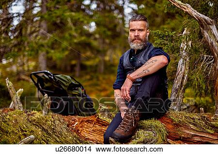 Picture - Hiker resting on fallen tree, Sarkitunturi, Lapland, Finland. Fotosearch