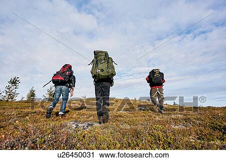 Stock Image - Hikers crossing field, Keimiotunturi, Lapland, Finland. Fotosearch