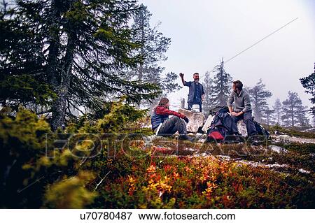 Hikers relaxing and chatting in park, Sarkitunturi, Lapland, Finland View Large Photo Image Stock Photo - Hikers relaxing and chatting in park, Sarkitunturi, Lapland, Finland. Fotosearch