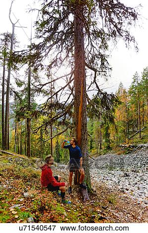 Stock Photo - Hikers resting by tree in forest, Kesankitunturi, Lapland, Finland. Fotosearch