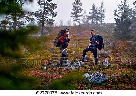 Stock Photo - Hikers waiting in park, Sarkitunturi, Lapland, Finland. Fotosearch