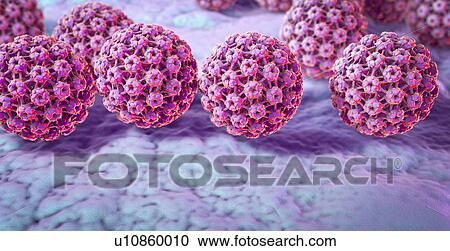 Stock Image - Human papilloma virus, illustration. Fotosearch