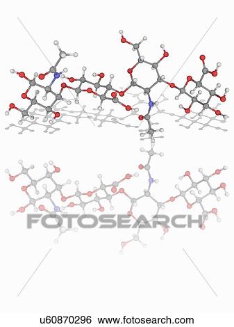 Hyaluronic acid (hyaluronan) molecule View Large Photo Image Stock Photograph - Hyaluronic acid (hyaluronan) molecule. Fotosearch