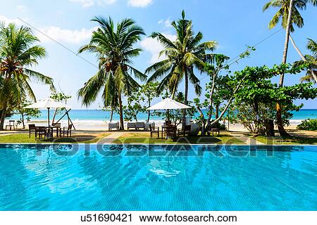 Infinity pool by beach, Sri Lanka View Large Photo Image Stock Image - Infinity pool by beach, Sri Lanka. Fotosearch