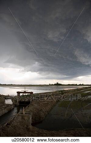Stock Image - Irrigation system, paddy field, Novara, Piedmont, Italy. Fotosearch