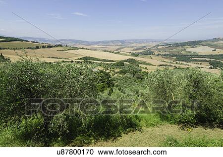 Stock Image - Italy, Tuscany, Pienza, Landscape with blue sky. Fotosearch