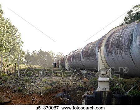 Landscape with hydroelectric industrial pipe, Tasmania View Large Photo Image Stock Photo - Landscape with hydroelectric industrial pipe, Tasmania. Fotosearch