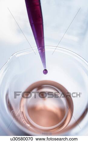 Litmus indicator dropping from pipette into beaker for pH test View Large Photo Image Stock Image - Litmus indicator dropping from pipette into beaker for pH test. Fotosearch
