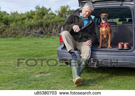 Stock Image - Man and dog sitting in car boot removing wellington boots. Fotosearch