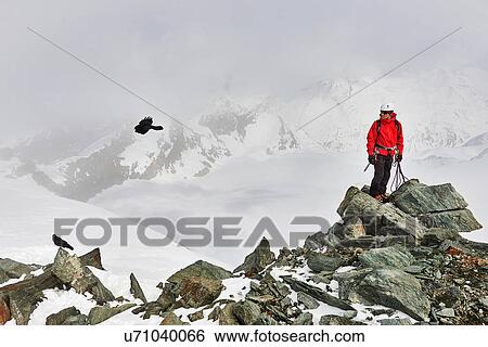 Stock Photograph - Man on top of snow covered mountain looking at bird in flight, Saas Fee, Switzerland. Fotosearch