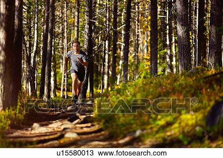 Stock Image - Man running in forest, Keimiotunturi, Lapland, Finland. Fotosearch
