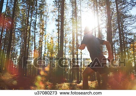 Stock Image - Man running in forest, Keimiotunturi, Lapland, Finland. Fotosearch