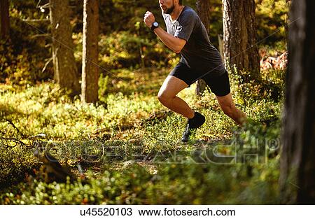 Stock Image - Man running in forest, Keimiotunturi, Lapland, Finland. Fotosearch