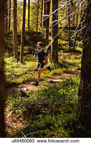 Man running in forest, Keimiotunturi, Lapland, Finland View Large Photo Image Stock Image - Man running in forest, Keimiotunturi, Lapland, Finland. Fotosearch