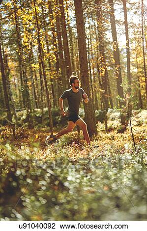 Stock Image - Man running in forest, Keimiotunturi, Lapland, Finland. Fotosearch