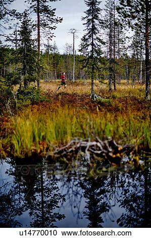 Stock Image - Man running in forest, Kesankitunturi, Lapland, Finland. Fotosearch