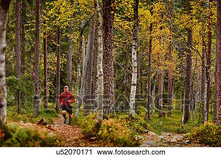 Stock Image - Man running in forest, Kesankitunturi, Lapland, Finland. Fotosearch