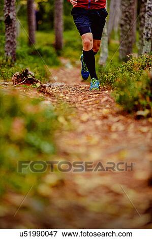 Man running in forest, Kesankitunturi, Lapland, Finland View Large Photo Image Stock Photo - Man running in forest, Kesankitunturi, Lapland, Finland. Fotosearch