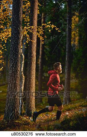 Stock Photograph - Man running in forest, Kesankitunturi, Lapland, Finland. Fotosearch