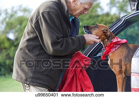 Stock Image - Man stroking dog. Fotosearch