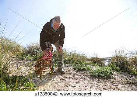 Man stroking pet dog on sand dunes, Constantine Bay, Cornwall, UK View Large Photo Image Stock Image - Man stroking pet dog on sand dunes, Constantine Bay, Cornwall, UK. Fotosearch
