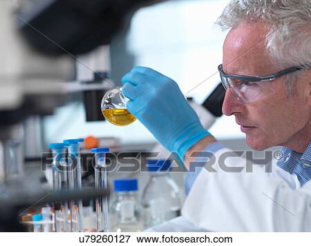 Microscopes being used during an experiment in a laboratory View Large Photo Image Stock Photo - Microscopes being used during an experiment in a laboratory. Fotosearch