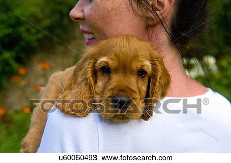 Stock Image - Mid adult woman holding pet dog, rear view. Fotosearch