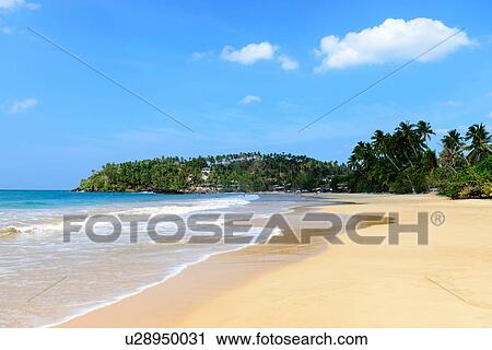 Mirissa Beach, Sri Lanka View Large Photo Image Stock Image - Mirissa Beach, Sri Lanka. Fotosearch