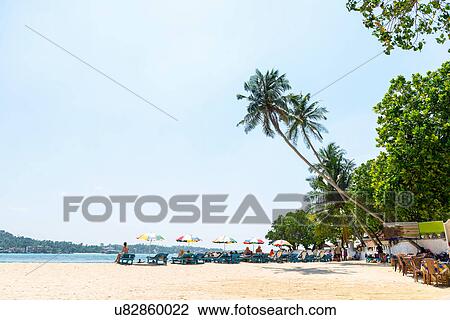 Stock Image - Mirissa Beach, Sri Lanka. Fotosearch