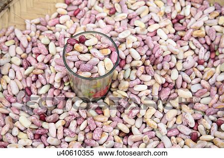 Mixed fresh beans in market View Large Photo Image Stock Photography - Mixed fresh beans in market. Fotosearch