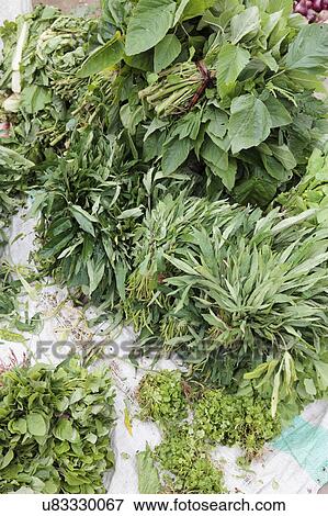 Mixed green vegetables and herbs in market View Large Photo Image Stock Photo - Mixed green vegetables and herbs in market. Fotosearch