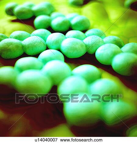 Stock Photo - Mrsa bacteria, illustration. Fotosearch