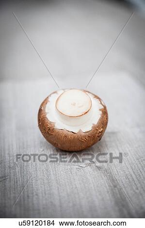 Picture - One mushroom on table. Fotosearch