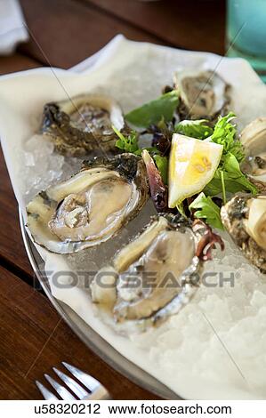Oysters on white plate View Large Photo Image Stock Image - Oysters on white plate. Fotosearch