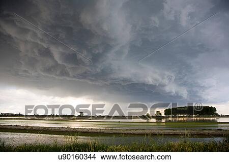 Picture - Paddy field, Novara, Piedmont, Italy. Fotosearch