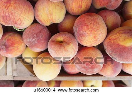 Peaches in wooden crate View Large Photo Image Picture - Peaches in wooden crate. Fotosearch