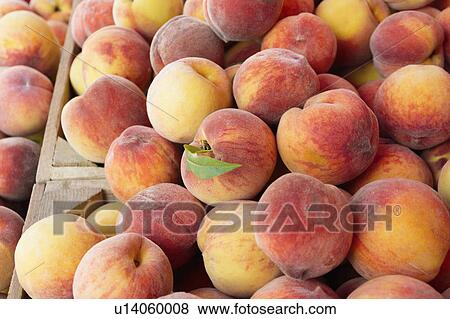 Peaches in wooden crate View Large Photo Image Stock Photo - Peaches in wooden crate. Fotosearch