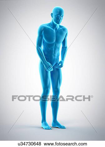 Stock Photo - Person bending over, illustration. Fotosearch