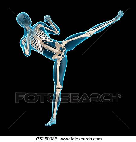Stock Photograph - Person doing high kick, illustration. Fotosearch