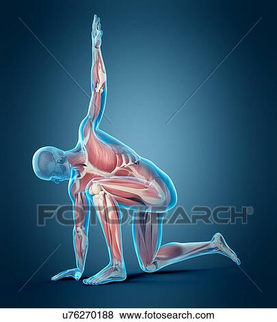 Person kneeling with arm raised, illustration View Large Photo Image Stock Photo - Person kneeling with arm raised, illustration. Fotosearch