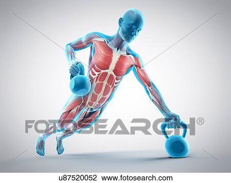 Stock Image - Person lifting kettle bell, illustration. Fotosearch