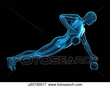 Stock Photo - Person lifting kettle bell, illustration. Fotosearch