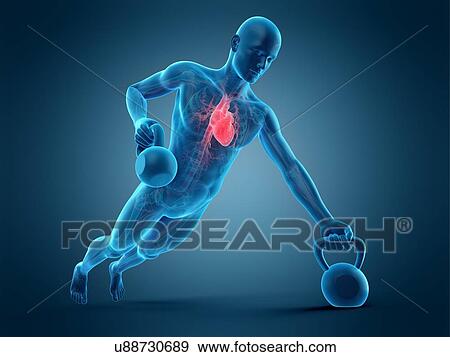 Stock Photo - Person lifting kettle bell, illustration. Fotosearch